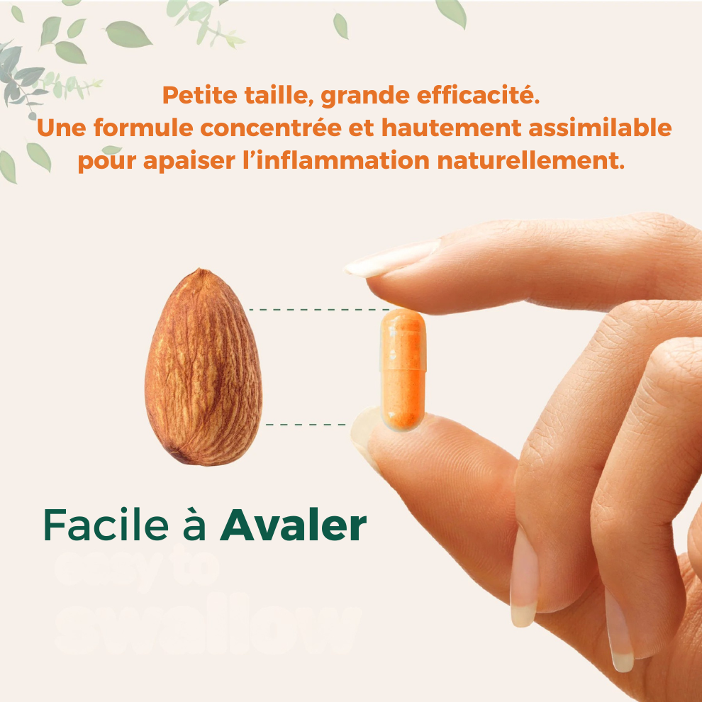 Curcuma Lab – Formule 6-en-1 pour réduire l’inflammation et soulager les douleurs articulaires.