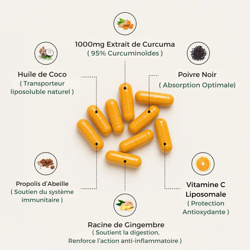 Curcuma Lab – Formule 6-en-1 pour réduire l’inflammation et soulager les douleurs articulaires.